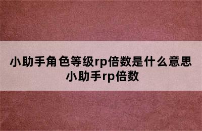 小助手角色等级rp倍数是什么意思 小助手rp倍数